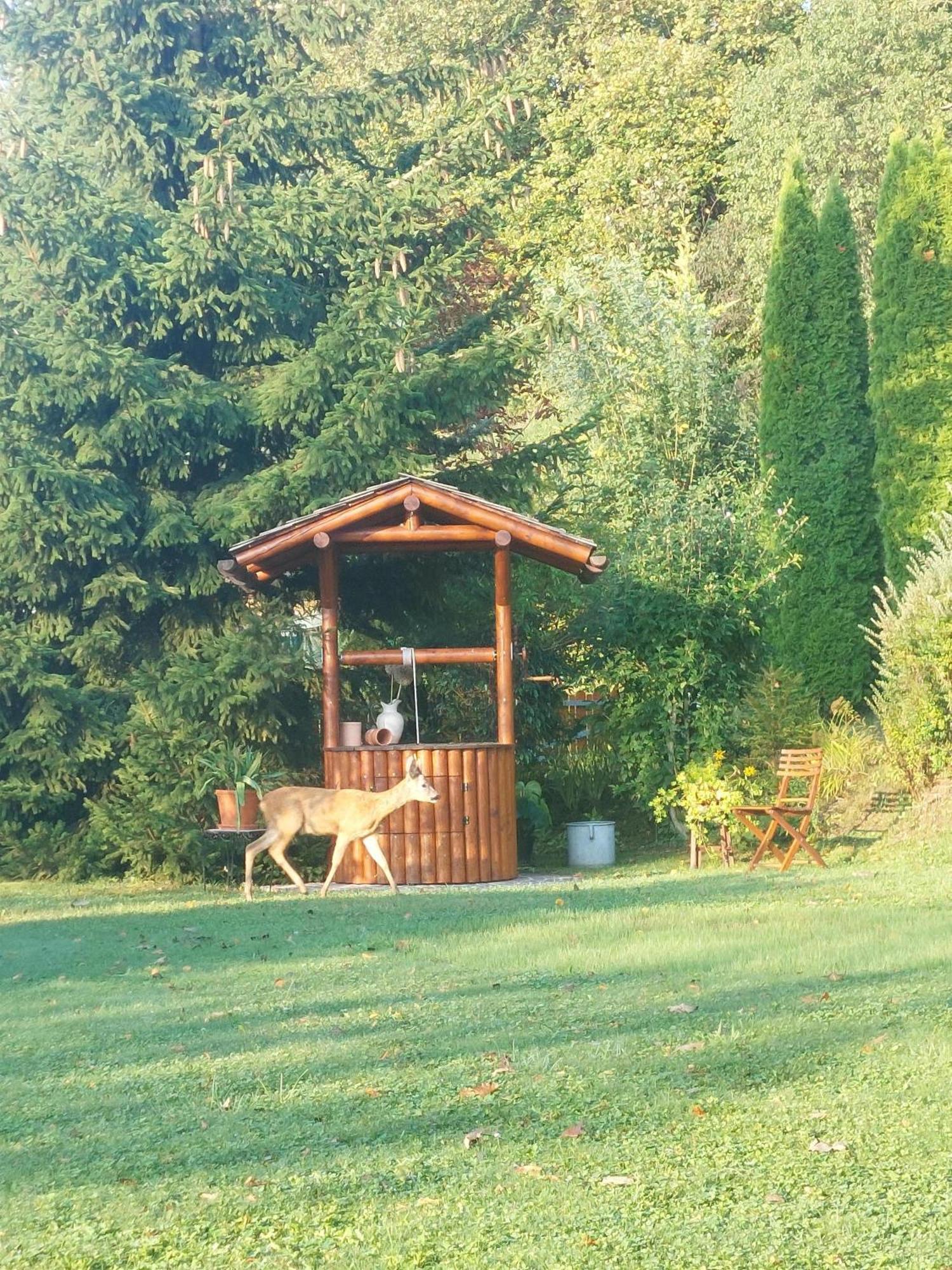 Privatzimmer Am Weinbrunnen Vorchdorf Exteriér fotografie
